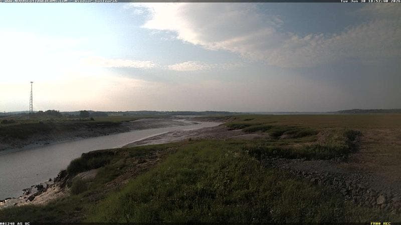 Windsor Salt Marsh