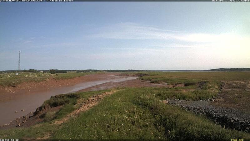 Windsor Salt Marsh