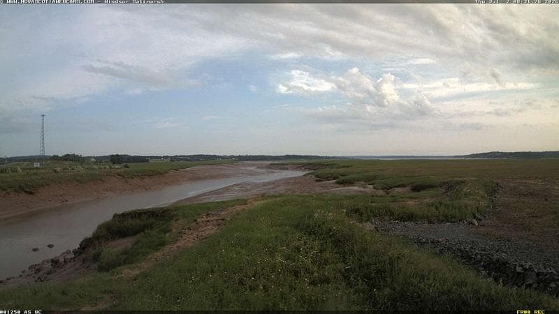 Windsor Salt Marsh