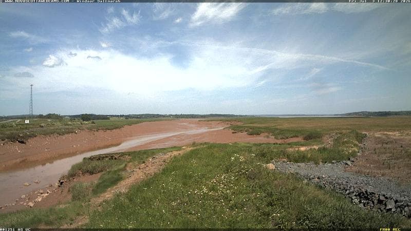 Windsor Salt Marsh