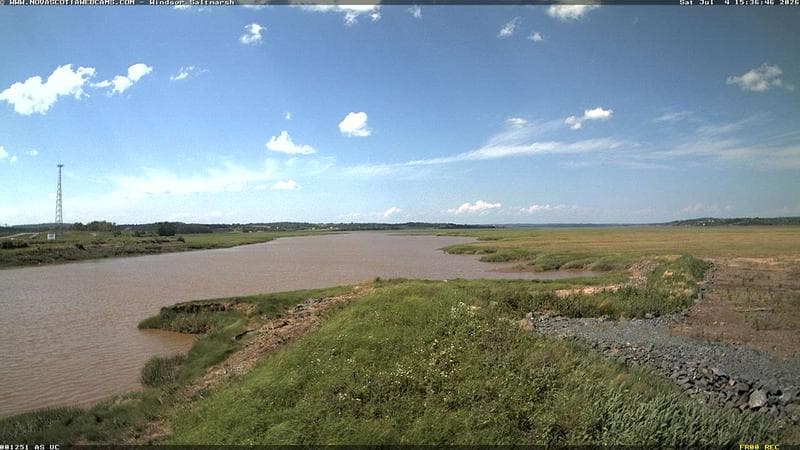 Windsor Salt Marsh