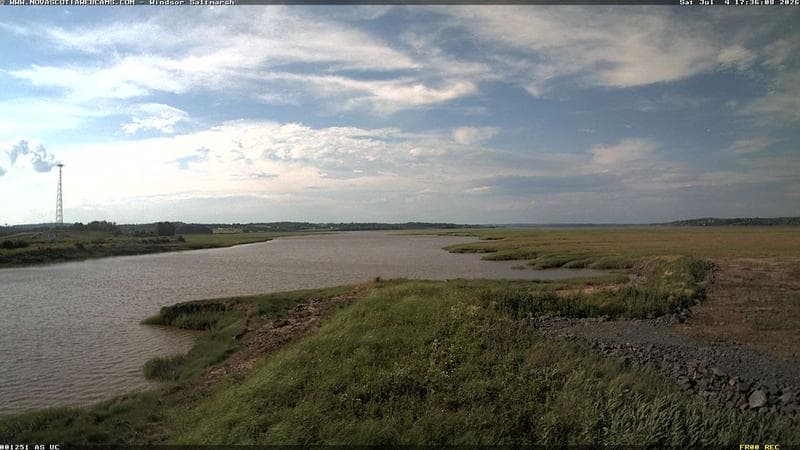Windsor Salt Marsh