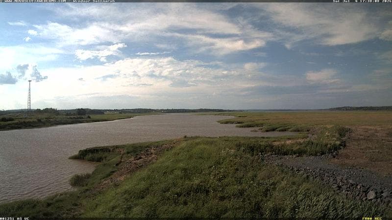 Windsor Salt Marsh