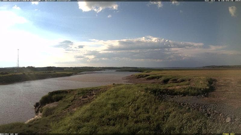 Windsor Salt Marsh