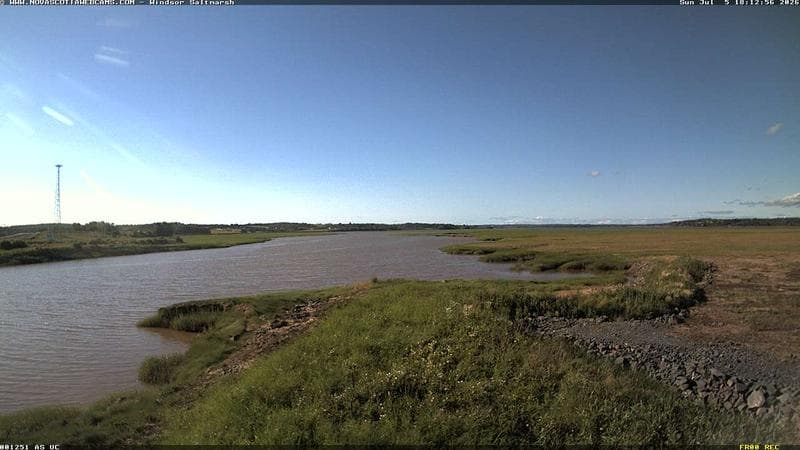 Windsor Salt Marsh