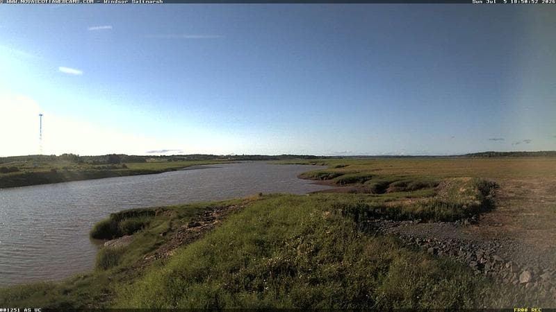 Windsor Salt Marsh