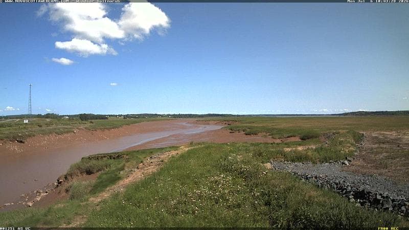 Windsor Salt Marsh