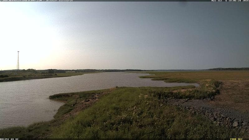 Windsor Salt Marsh