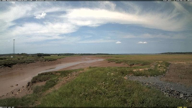 Windsor Salt Marsh