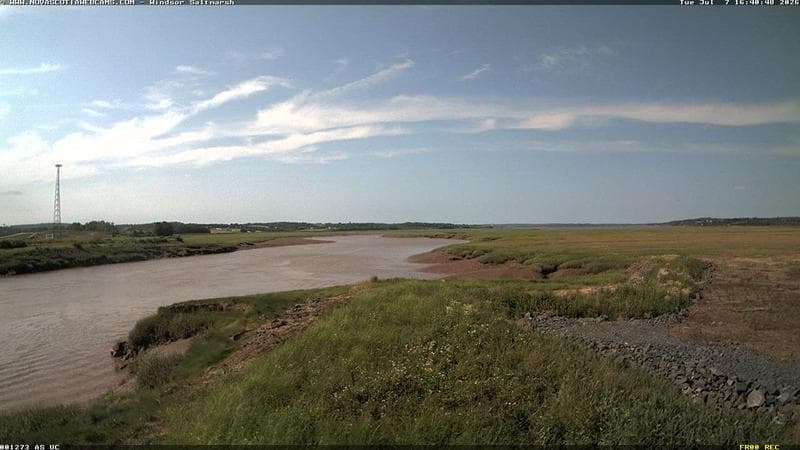 Windsor Salt Marsh