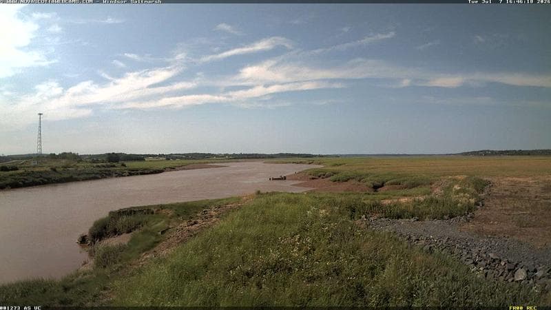 Windsor Salt Marsh