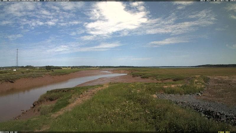 Windsor Salt Marsh