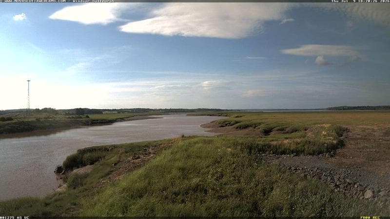Windsor Salt Marsh