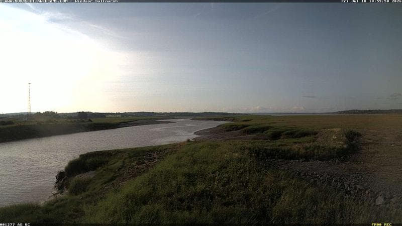Windsor Salt Marsh