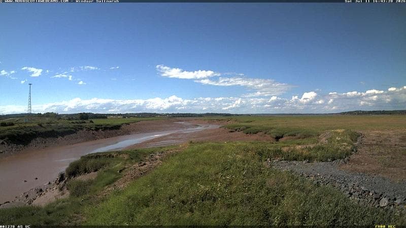 Windsor Salt Marsh
