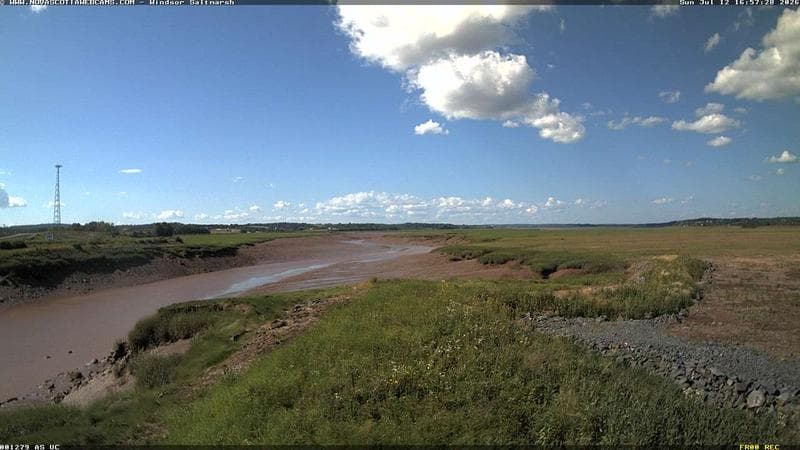 Windsor Salt Marsh