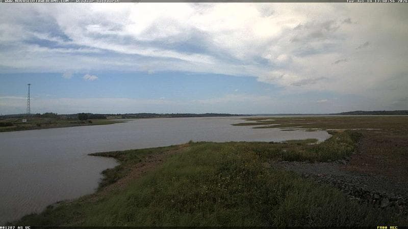 Windsor Salt Marsh