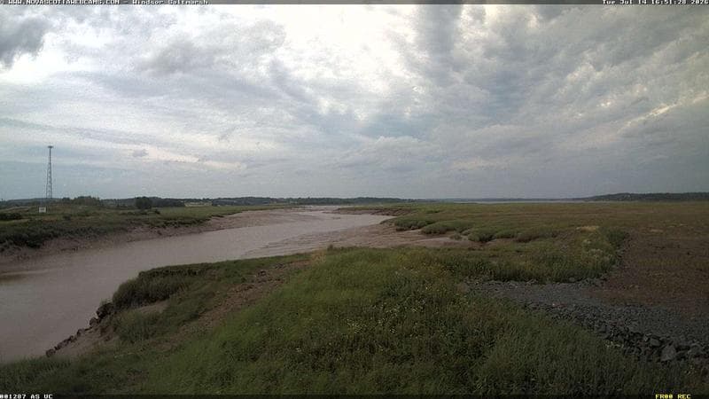 Windsor Salt Marsh