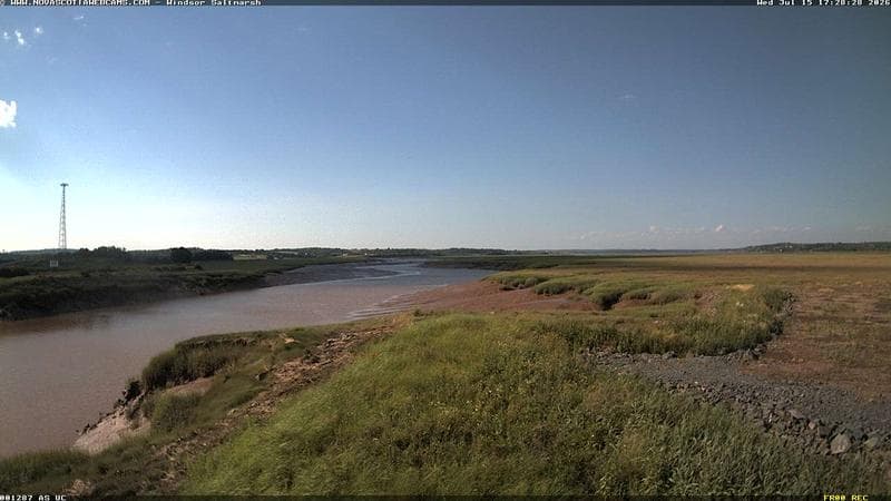 Windsor Salt Marsh