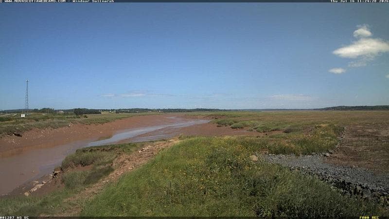 Windsor Salt Marsh