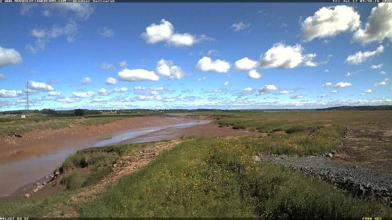Windsor Salt Marsh