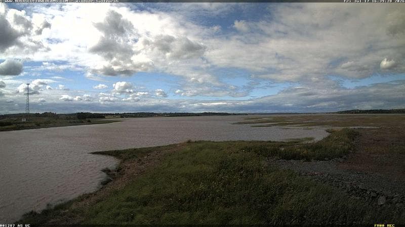 Windsor Salt Marsh