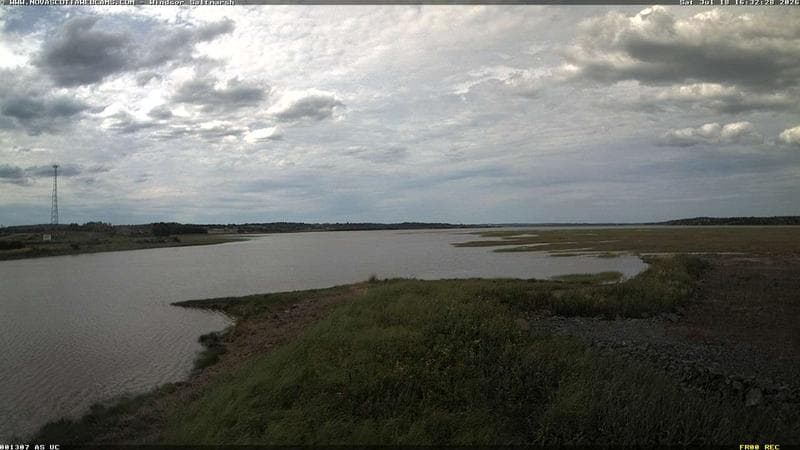 Windsor Salt Marsh
