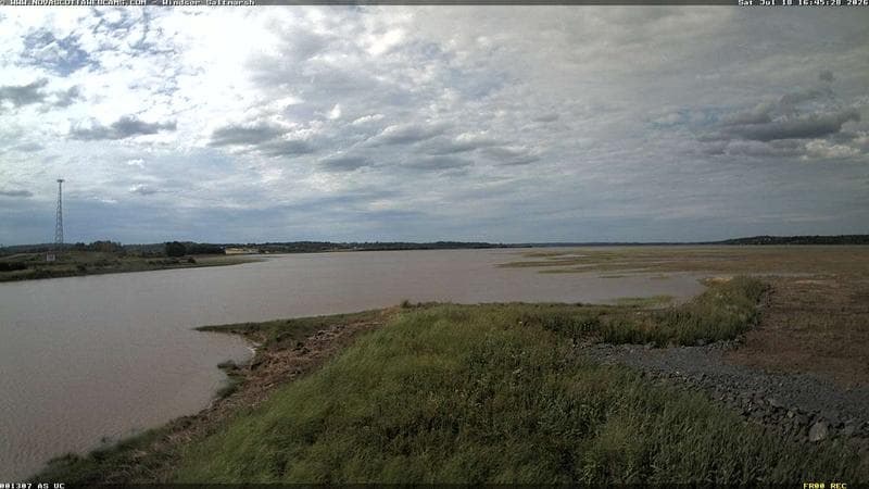 Windsor Salt Marsh