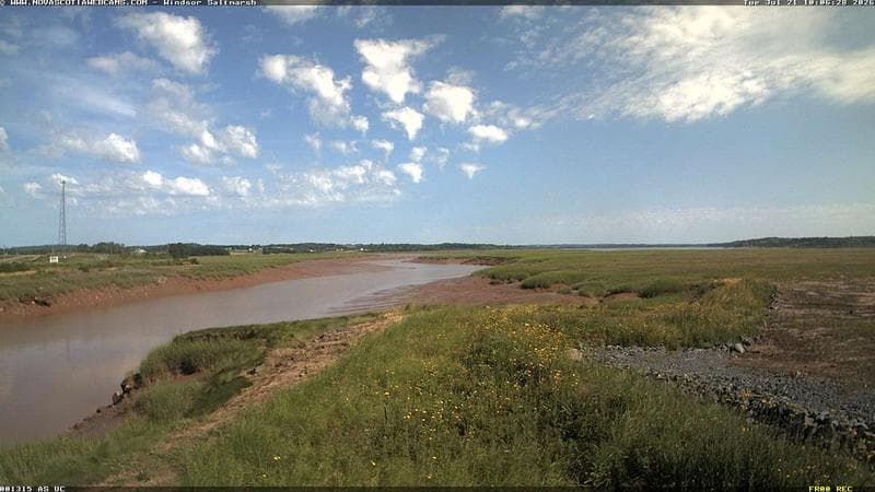Windsor Salt Marsh