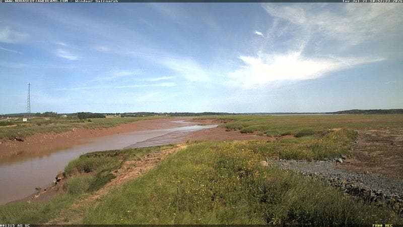 Windsor Salt Marsh