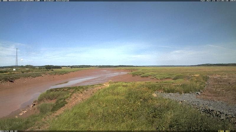 Windsor Salt Marsh