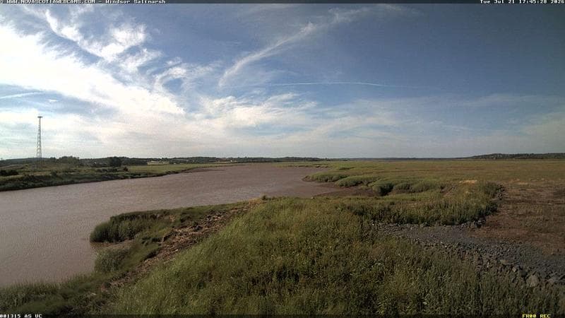 Windsor Salt Marsh