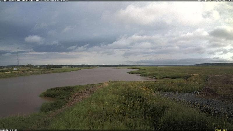 Windsor Salt Marsh