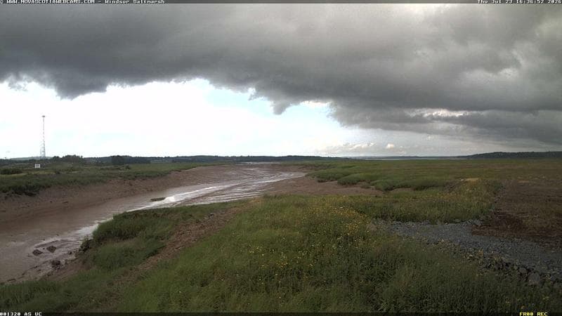Windsor Salt Marsh