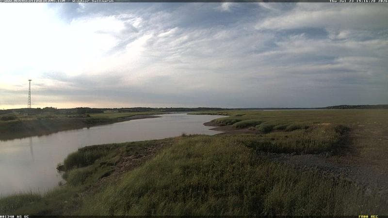 Windsor Salt Marsh