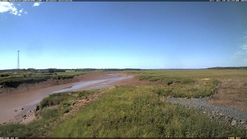 Windsor Salt Marsh