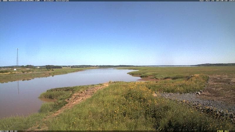 Windsor Salt Marsh