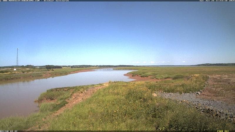 Windsor Salt Marsh
