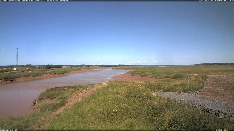 Windsor Salt Marsh