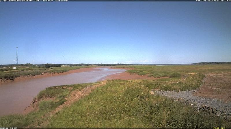 Windsor Salt Marsh