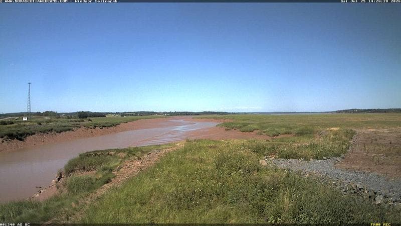 Windsor Salt Marsh