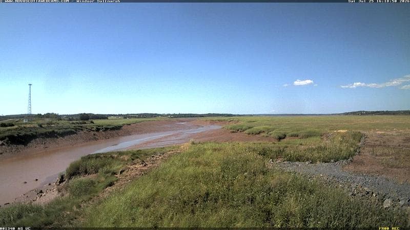 Windsor Salt Marsh
