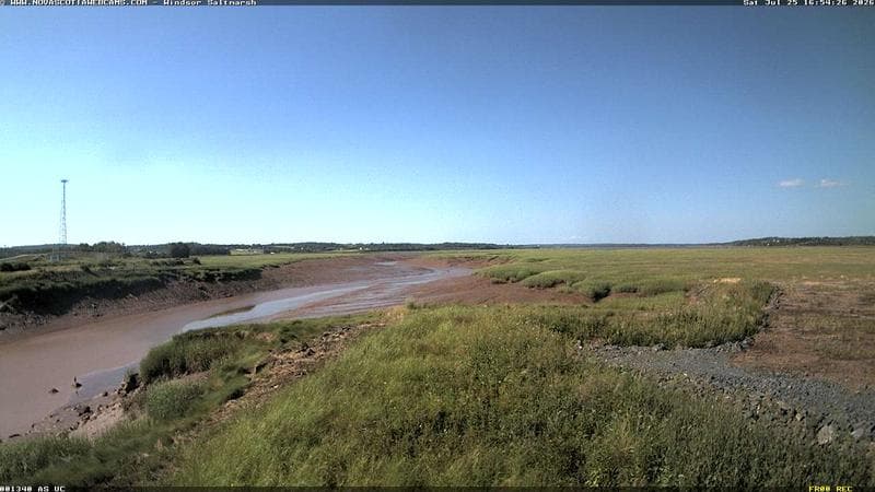 Windsor Salt Marsh