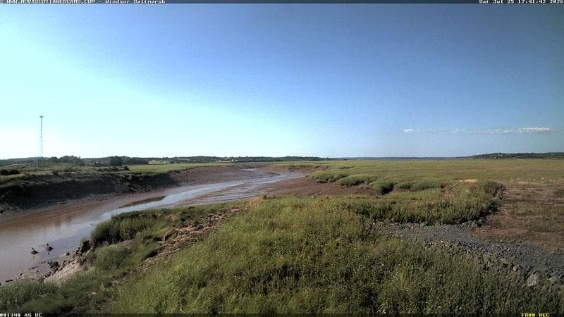 Windsor Salt Marsh