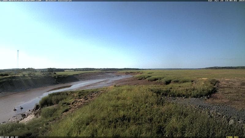 Windsor Salt Marsh