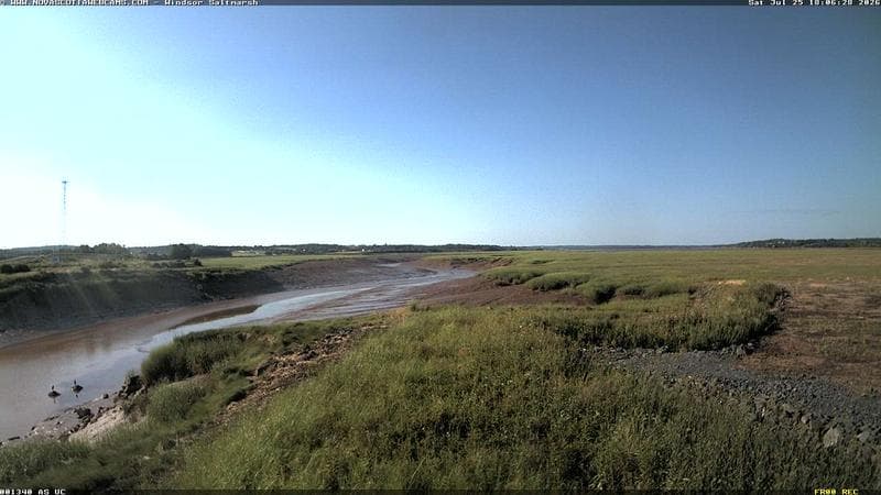 Windsor Salt Marsh