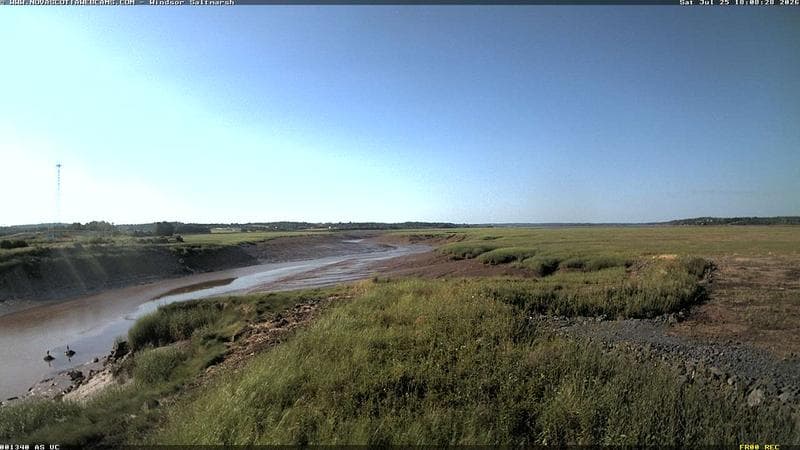 Windsor Salt Marsh