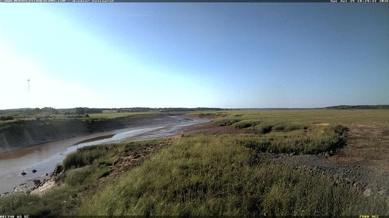 Windsor Salt Marsh
