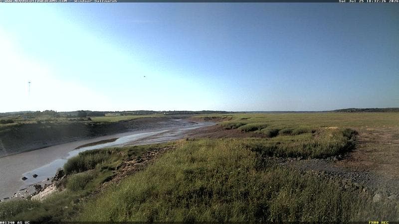 Windsor Salt Marsh