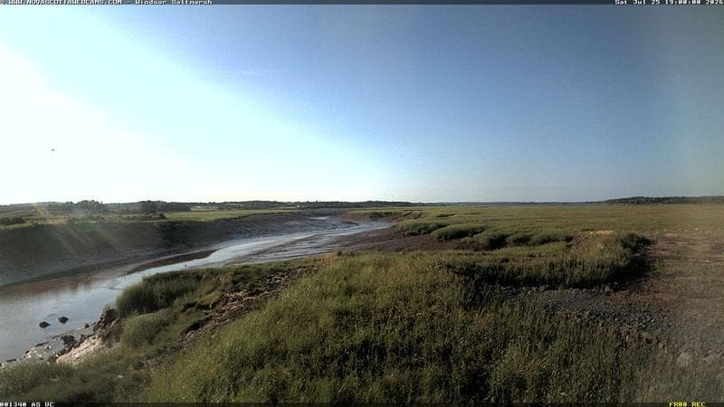 Windsor Salt Marsh